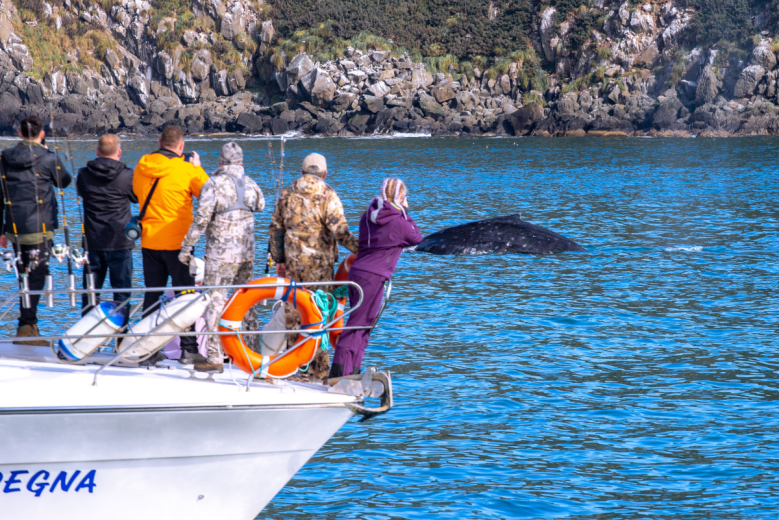 MDV Elite Camp. Фото 11