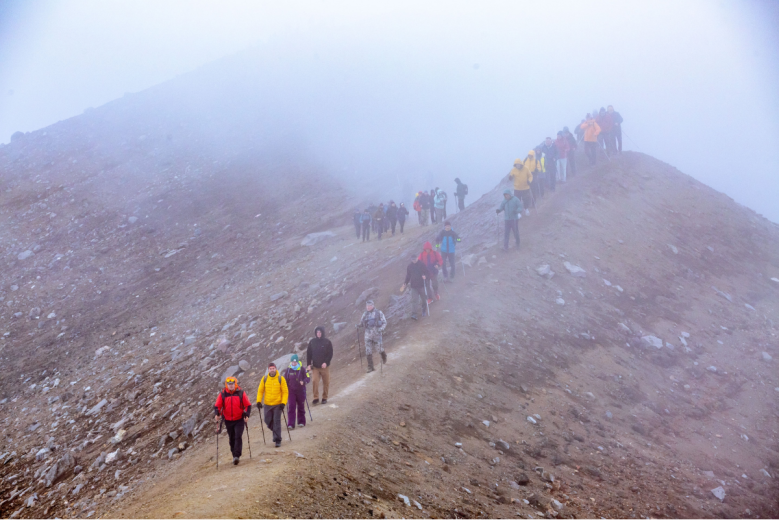 MDV Elite Camp. Фото 20