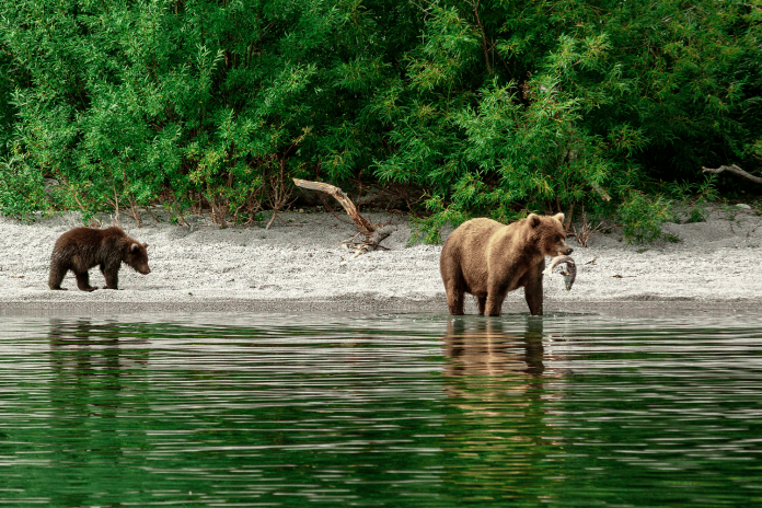 Победители MDV Elite Camp покорили Камчатку. Фото 5