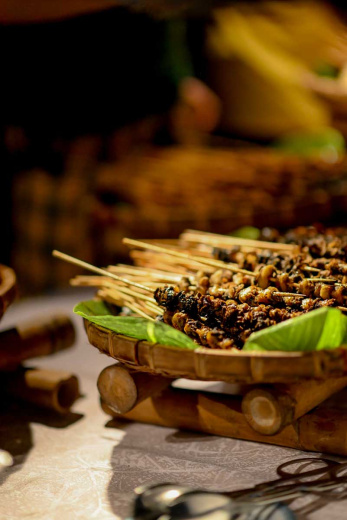 MDV Elite Camp. Фото 74