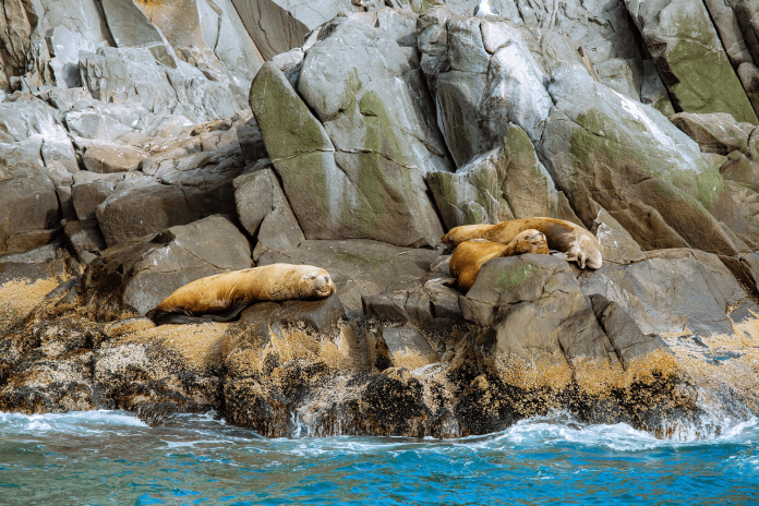 Победители MDV Elite Camp покорили Камчатку. Фото 1